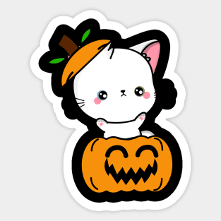 Funny angora cat is in a pumpkin Sticker